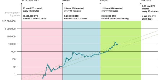 Bitcoin Halving History 2025