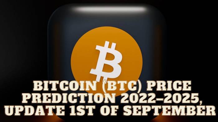 Bitcoin Today Prediction 25 January 2025