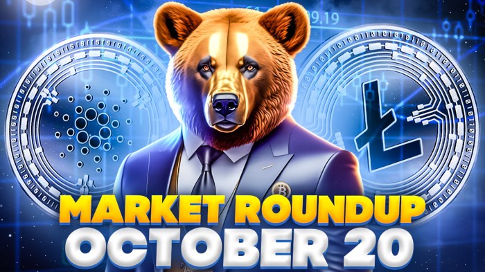 Bitcoin Price After Bull Run