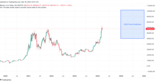 Bitcoin Price Prediction For 19 January 2025