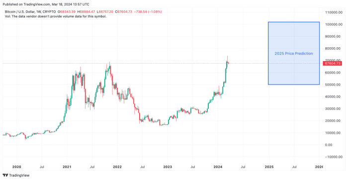 Bitcoin Today Prediction 17 January 2025