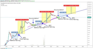 Bitcoin Prediction After 2025 Halving