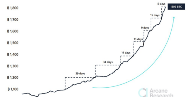 Plan B Bitcoin Predictions