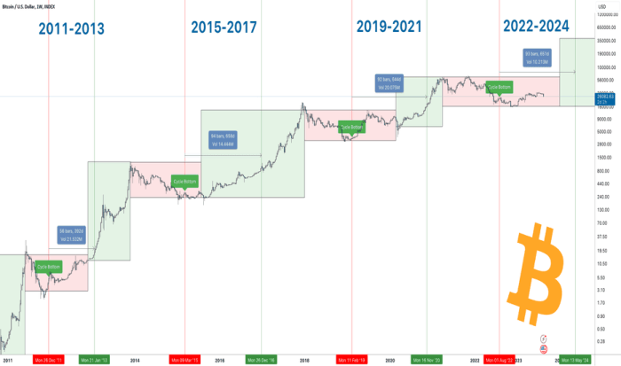 Bitcoin Halving Cycle Chart 2025