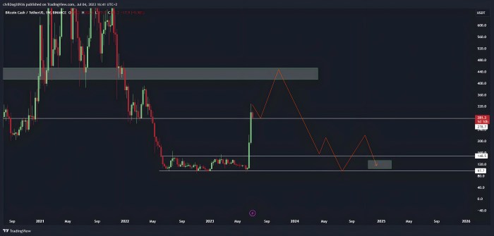 Bitcoin Cash 2025 Prediction