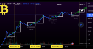 Bitcoin Max Price 2025