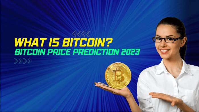 Bitcoin USD Prediction For 23 January 2025