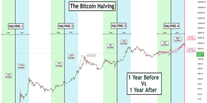 Halving Bitcoin 2025 Fecha