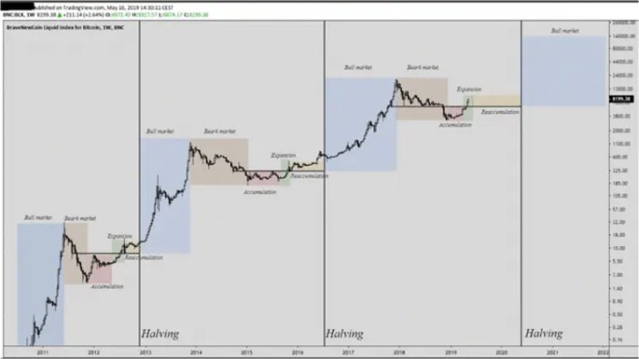 Bitcoin Halving History Chart 2025