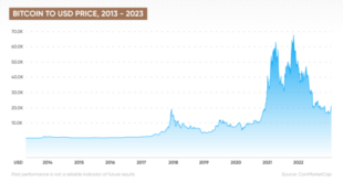 Bitcoin Price By January 2025