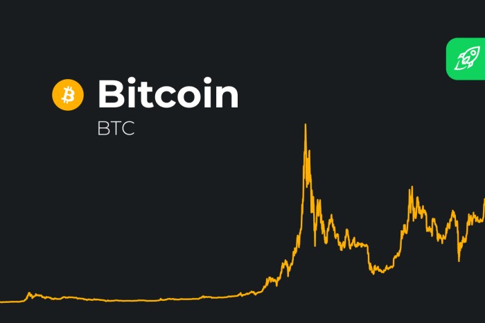 Bitcoin Price Prediction For 21 January 2025