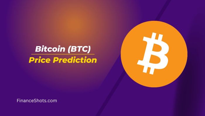 Plan B Bitcoin Prediction 2025