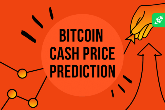 Bitcoin Cash Price Prediction 2025