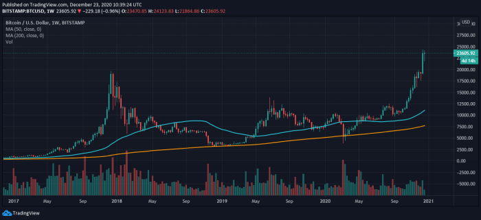 Bitcoin Price In 2025 Year