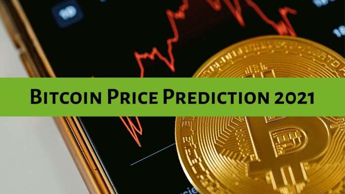 Bitcoin Price Lowest 2021