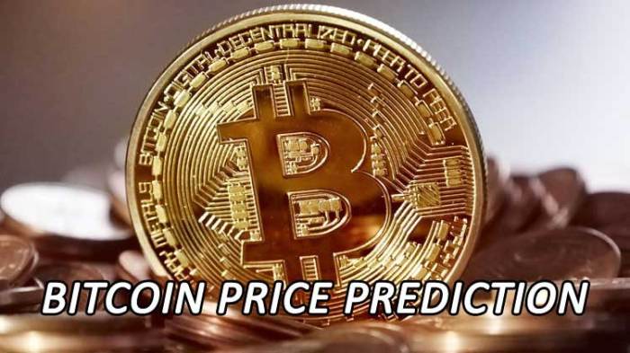 Bitcoin January 2025 Prediction