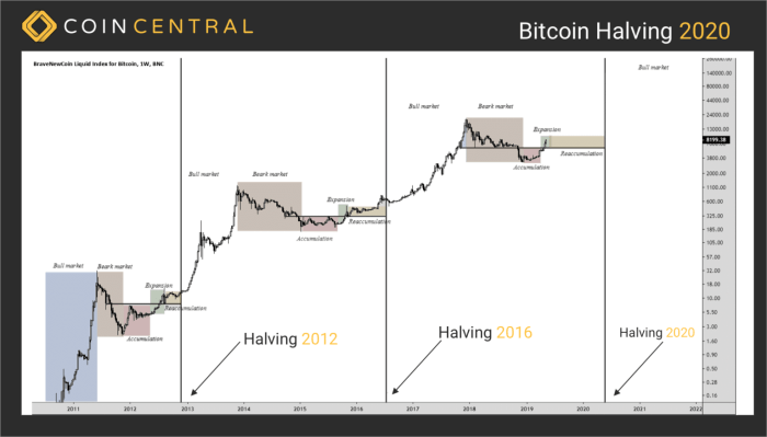 Bitcoin Halving Cycle Chart 2025