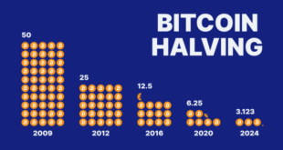 Bitcoin Halving 2025 What To Expect