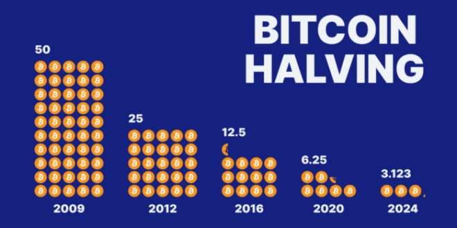 Bitcoin Halving 2025 What To Expect