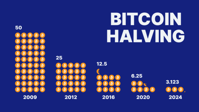 Bitcoin Halving 2025 What To Expect