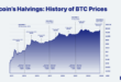 Bitcoin Halving Price 2025