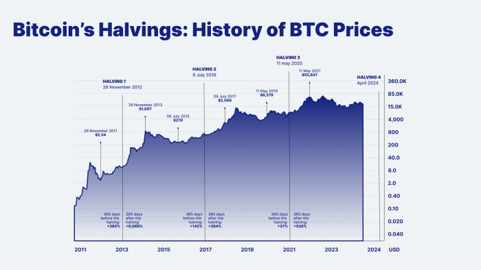 What Date Is Bitcoin Halving 2025