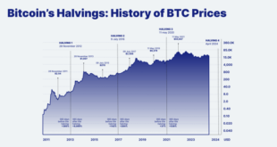 When Is 2025 Bitcoin Halving