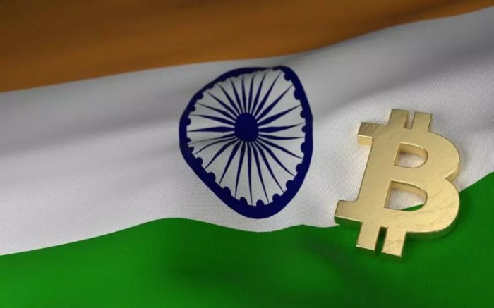 Bitcoin india price skyrockets search
