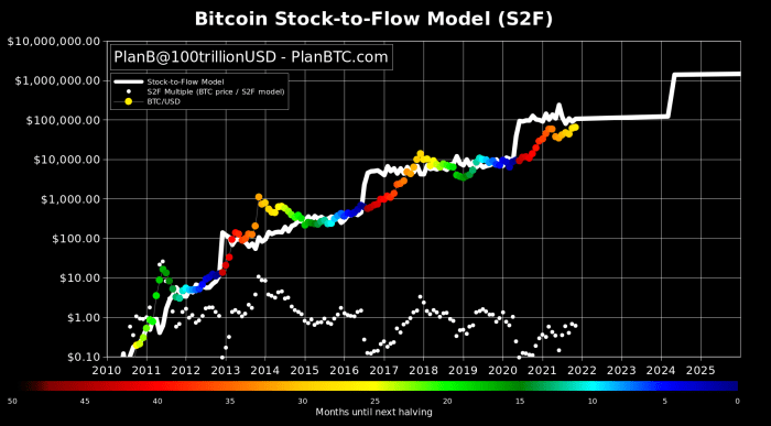 Bitcoin Bull Run 2024