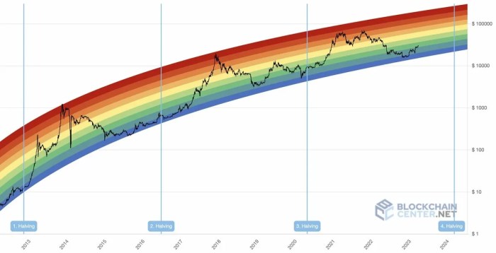 Bitcoin Price After Bull Run