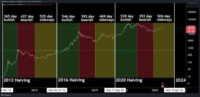 Bitcoin Halving History Chart 2025