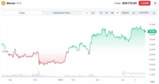 Bitcoin USD Prediction For 31 January 2025