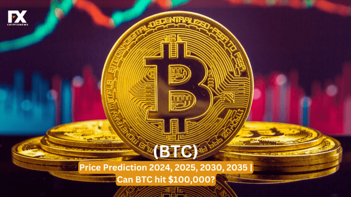 Bitcoin Price Prediction For 22 January 2025