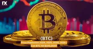 Bitcoin USD Prediction For 24 January 2025