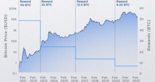 Bitcoin Halving Price Chart 2025