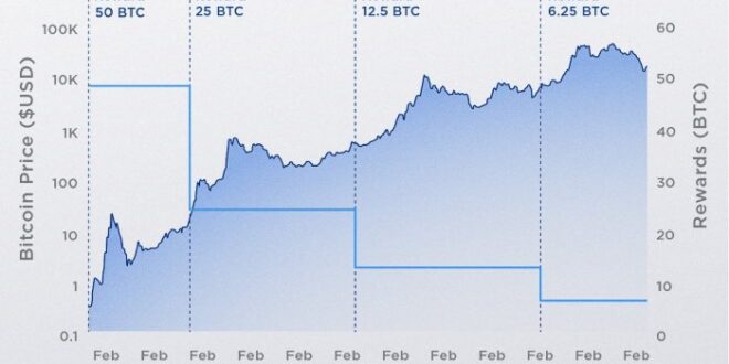 Bitcoin Halving Price Chart 2025