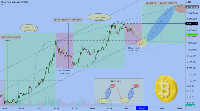 Bitcoin Price Prediction Next Bull Run 2025