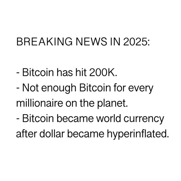 Bitcoin Price In 2025 Reddit