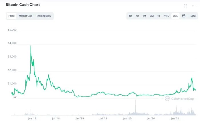 Bitcoin Cash Price Prediction 2025 Reddit