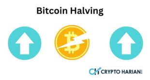 Bitcoin Halving 2025 April