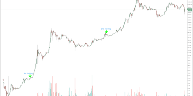 Bitcoin Cash Halving 2025