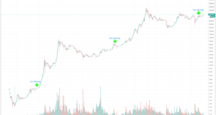 Bitcoin takeover halving