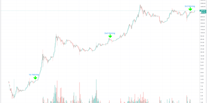 Bitcoin takeover halving