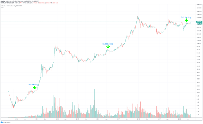 Bitcoin Price 2025 Halving