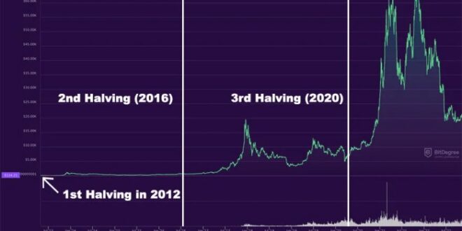 Bitcoin 2025 Halving Price Prediction