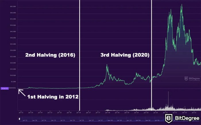 Bitcoin 2025 Halving Price Prediction