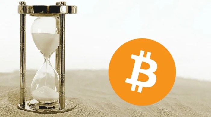 Halving Bitcoin 2025 Reloj