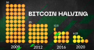 Halving Bitcoin 2025 Countdown