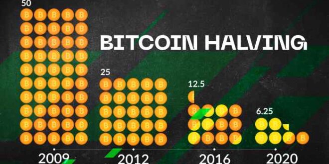 Halving Bitcoin 2025 Countdown