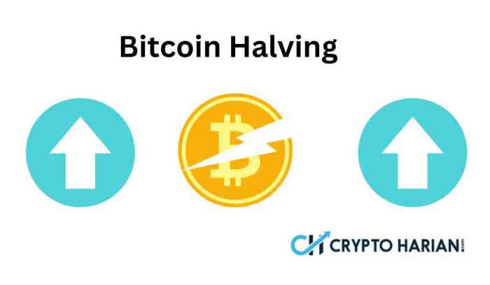 Bitcoin Halving 2025 April